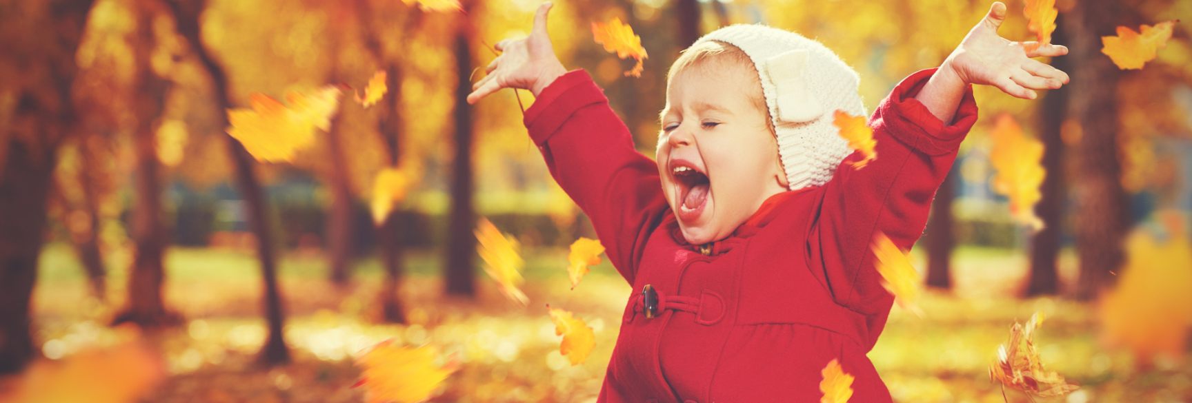 Header-Bild Herbst